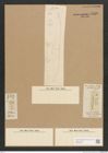 Diatomeae indet. Zeichnungen Sammlung Grunow Nr. 4516 (NHMW-BOT-W0372483)